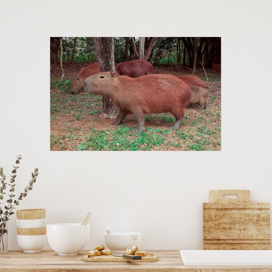 Poster Capybara (Cuisine)