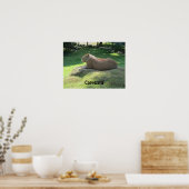 Poster Capybara - Gros rongeur (Cuisine)