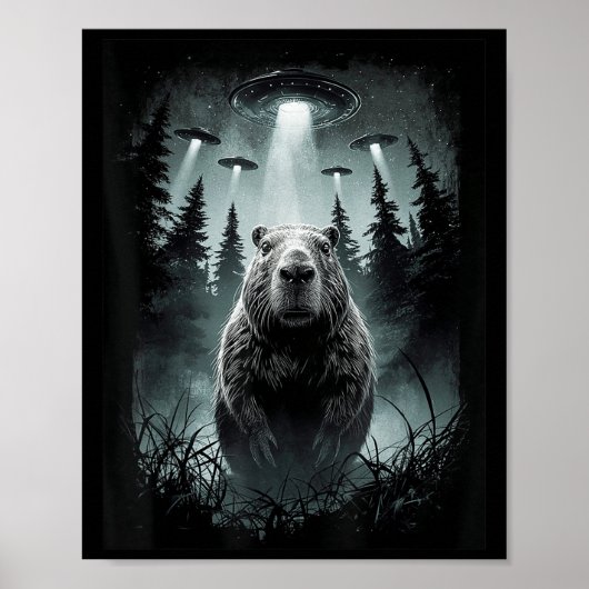 Poster Capybara Selfie Avec Alien Ufo Funny Capybara Cade (Devant)