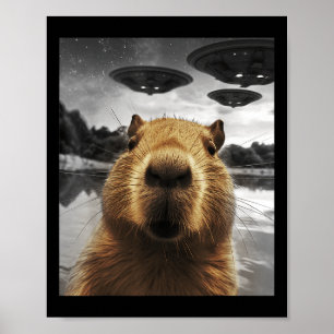 Poster Capybara Selfie Funny Xmas Animal Graphisme Capyba