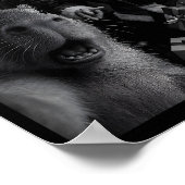 Poster Capybara Selfie With Santa Funny Capybara For Men (Coin)