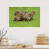 Poster Capybaras (Cuisine)