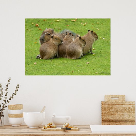 Poster Capybaras (Cuisine)