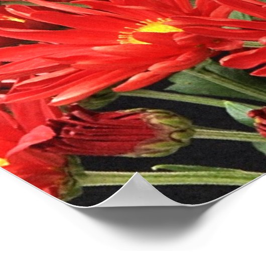 Poster Car c'est par grâce (Coin)