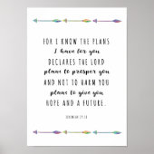 Poster Car je connais les plans que j'ai pour vous Imprim (Devant)