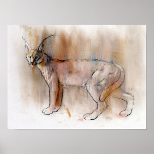 Poster Caracal arabe 2009