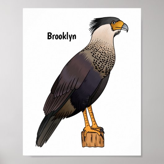 Poster Caracara en berceau dessin animé (Devant)