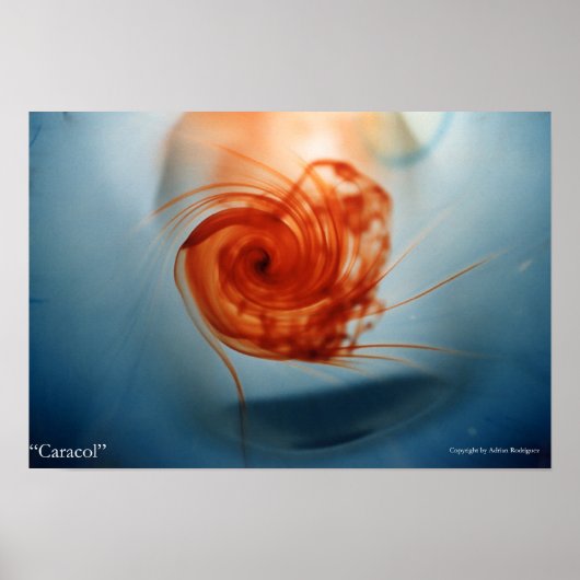 Poster Caracol (Devant)