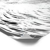 Poster Caractéristiques de Leo (Coin)