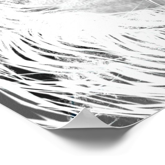 Poster Caractéristiques de Leo (Coin)