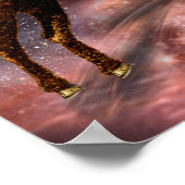 Poster Caractéristiques des baies (Coin)