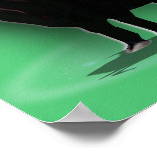 Poster Caractéristiques du Taurus (Coin)