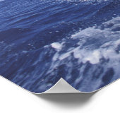 Poster Caraïbes, dauphins à gros nez (Coin)