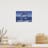 Poster Caraïbes, dauphins à gros nez (Cuisine)