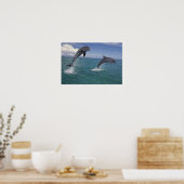 Poster Caraibes, dauphins de Bottlenose Tursiops 13 (Cuisine)