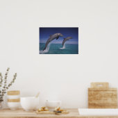 Poster Caraïbes, dauphins de Bottlenose Tursiops 8 (Cuisine)