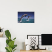 Poster Caraïbes, dauphins de Bottlenose Tursiops 8 (Bureau à domicile)
