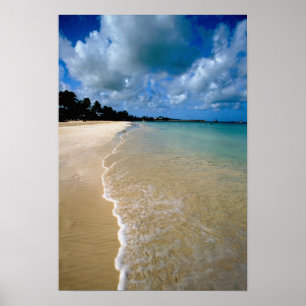 Poster Caraïbes, îles Leeward, Antigua, Dickenson