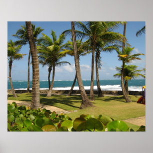 Poster Caraibes Vue Océan Porto Rico - Artby Galina