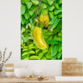 Poster Carambola (Cuisine)