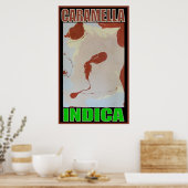 POSTER CARAMEL INDICA (Cuisine)