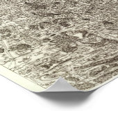 Poster Carcassonne (Coin)