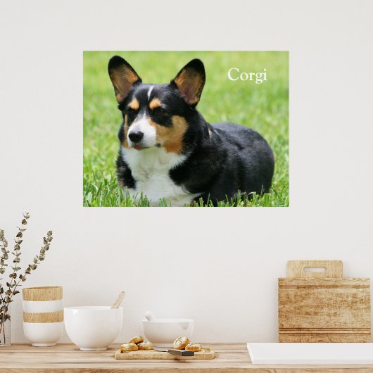 Poster Cardigan Welsh Corgi (Cuisine)