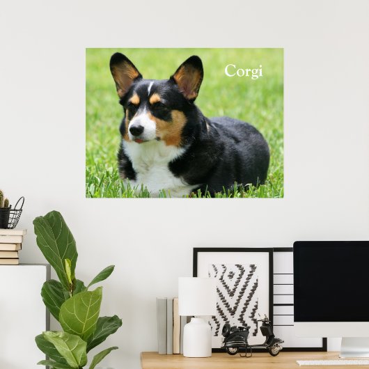 Poster Cardigan Welsh Corgi (Bureau à domicile)