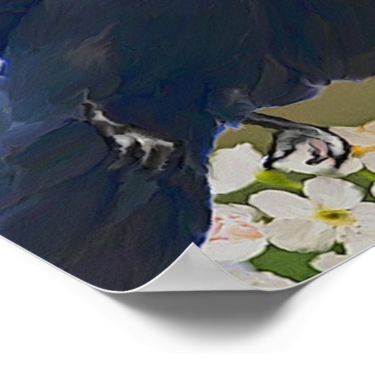 Poster cardinal (Coin)