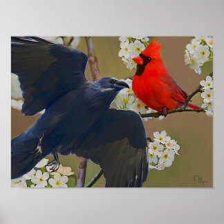 Poster cardinal