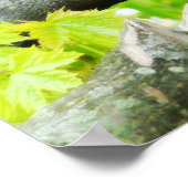 Poster Cardinal (Coin)