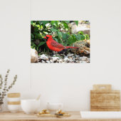 Poster Cardinal (Cuisine)
