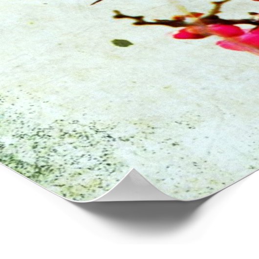 Poster Cardinal (Coin)