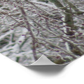 Poster Cardinal (Coin)