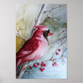 Poster Cardinal (Devant)
