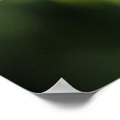 Poster Cardinal (Coin)