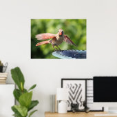 Poster Cardinal (Bureau à domicile)