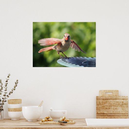 Poster Cardinal (Cuisine)