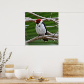 Poster Cardinal à bec jaune dans un arbre (Cuisine)