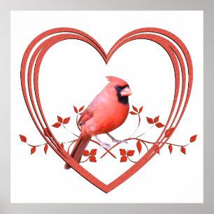 Poster Cardinal au coeur