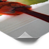 Poster Cardinal avec Visiteur du Ciel poème 12x8 (Coin)