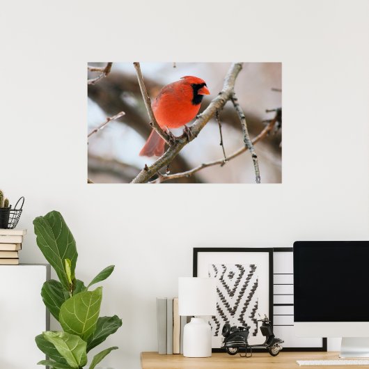 Poster Cardinal Bird (Bureau à domicile)