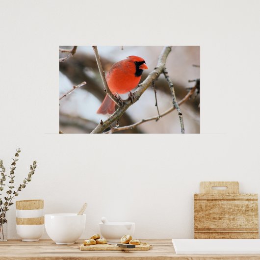 Poster Cardinal Bird (Cuisine)