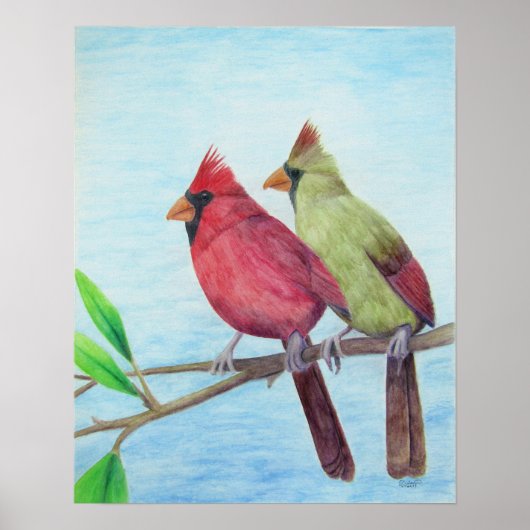 Poster Cardinal Couple (Devant)