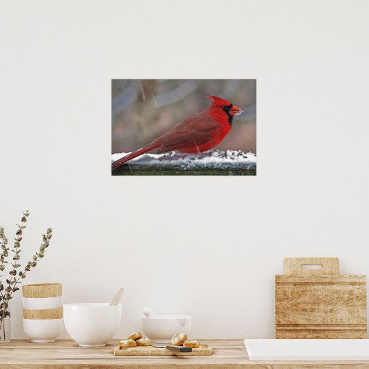 Poster Cardinal dans la neige (Cuisine)