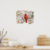 Poster Cardinal dans un pin en hiver (Cuisine)