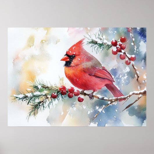 Poster Cardinal de Noël (Devant)