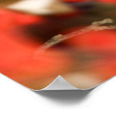 Poster Cardinal de Northern (Coin)