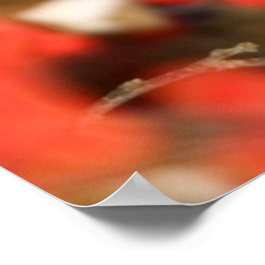 Poster Cardinal de Northern (Coin)