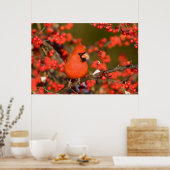 Poster Cardinal de Northern (Cuisine)